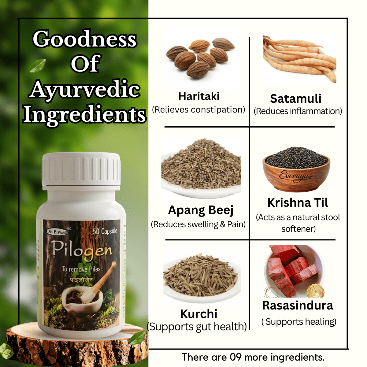 Ayurvedic Pilogen Capsule ingredient - HEALTH AIM PHARMACY 