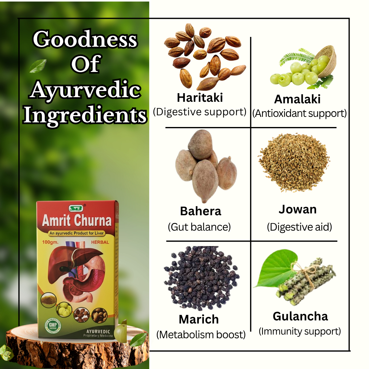 Ayuevedic Livoerb DS Syrup and Amrit Churna Powder & Health Aim Capsule Combo | 225ml + 100gm + 50Caps | Combo Pack - HEALTH AIM PHARMACY