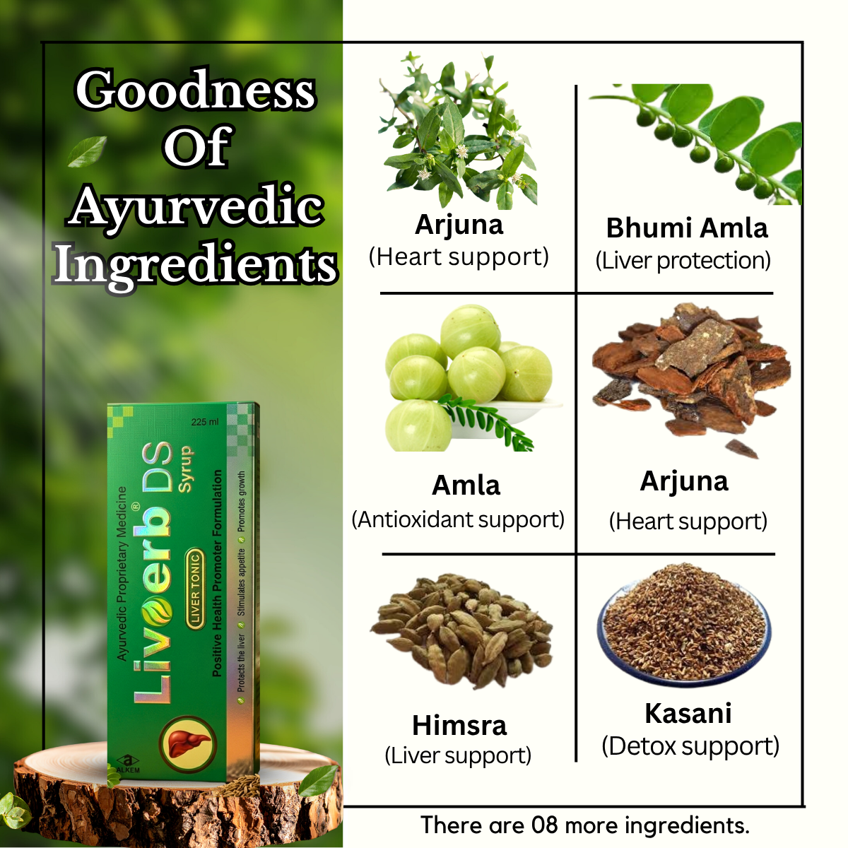 Ayuevedic Livoerb DS Syrup and Amrit Churna Powder & Health Aim Capsule Combo | 225ml + 100gm + 50Caps | Combo Pack - HEALTH AIM PHARMACY