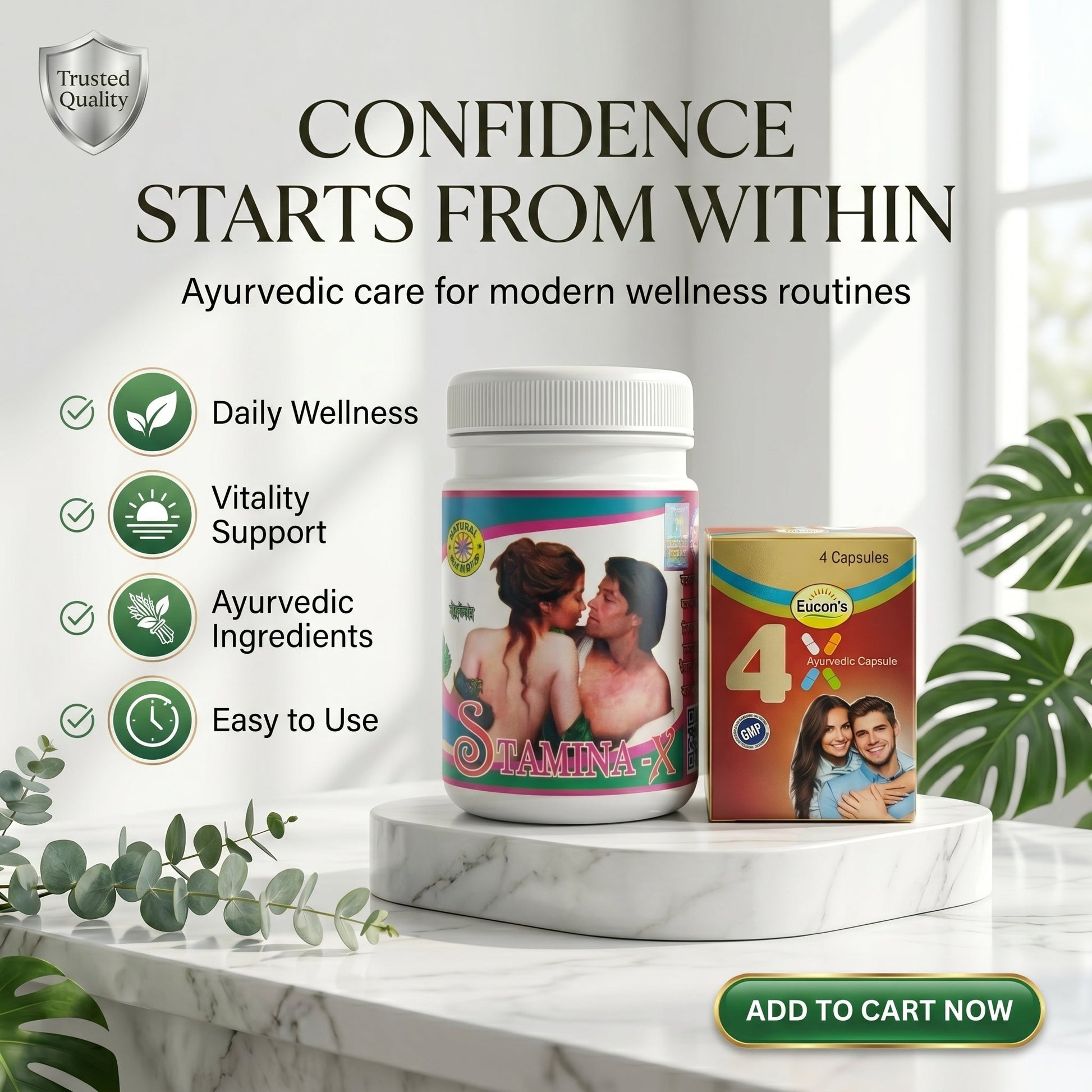 Ayurvedic 4X Capsule Pack of 3 & Stamina - X Powder Combo | 100gm + 4Caps | Combo Pack - HEALTH AIM PHARMACY