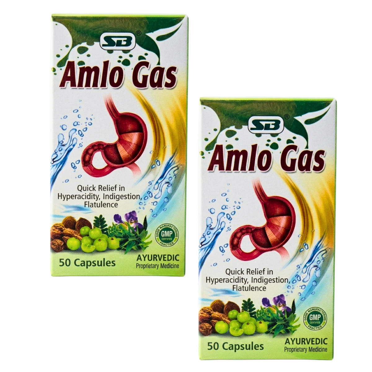 Ayurvedic Amlo Gas Capsule For Quick Relief Indigestion | 50Caps | Pack Of 2 - HEALTH AIM PHARMACY