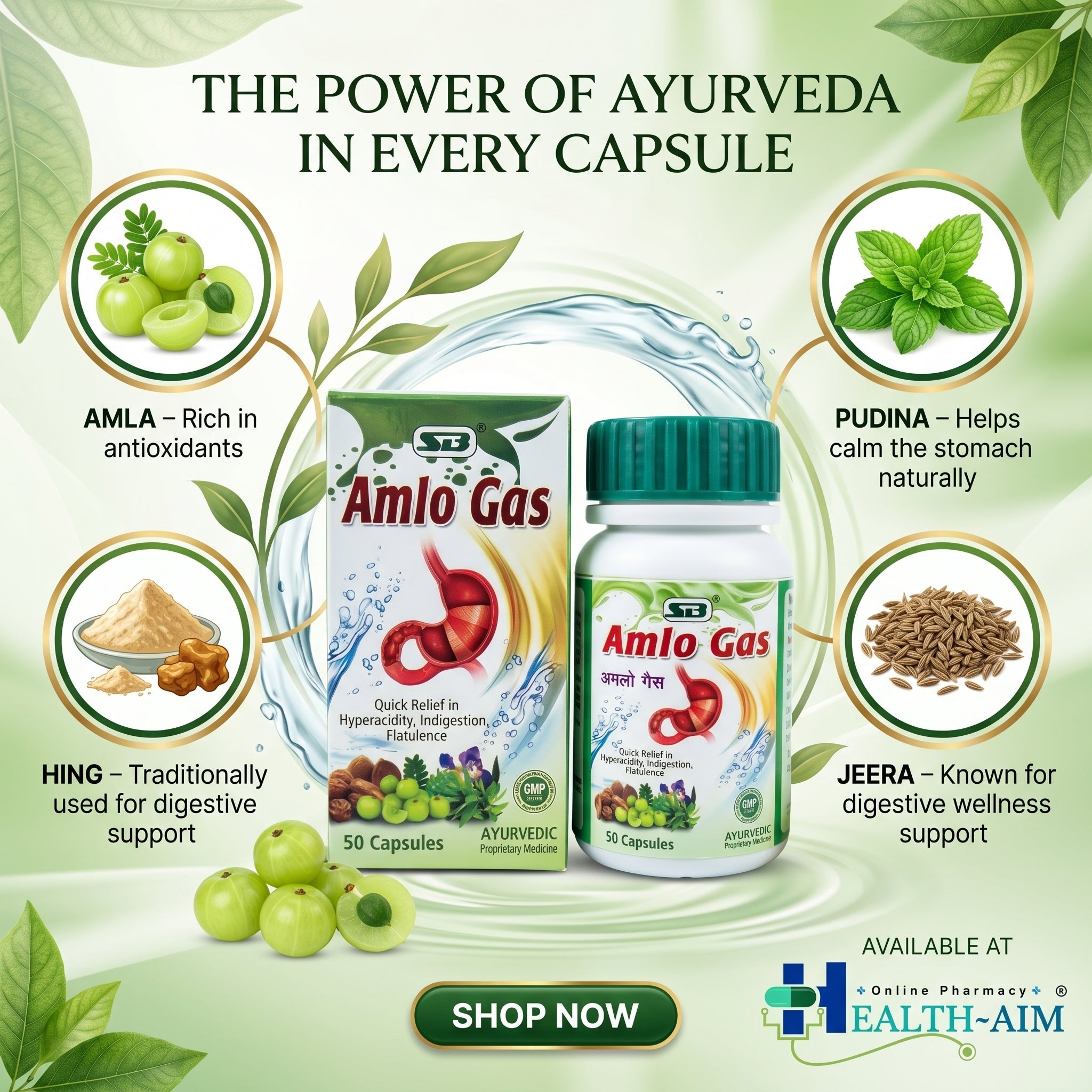 Ayurvedic Amlo Gas Capsule For Quick Relief Indigestion | 50Caps | Pack Of 2 - HEALTH AIM PHARMACY