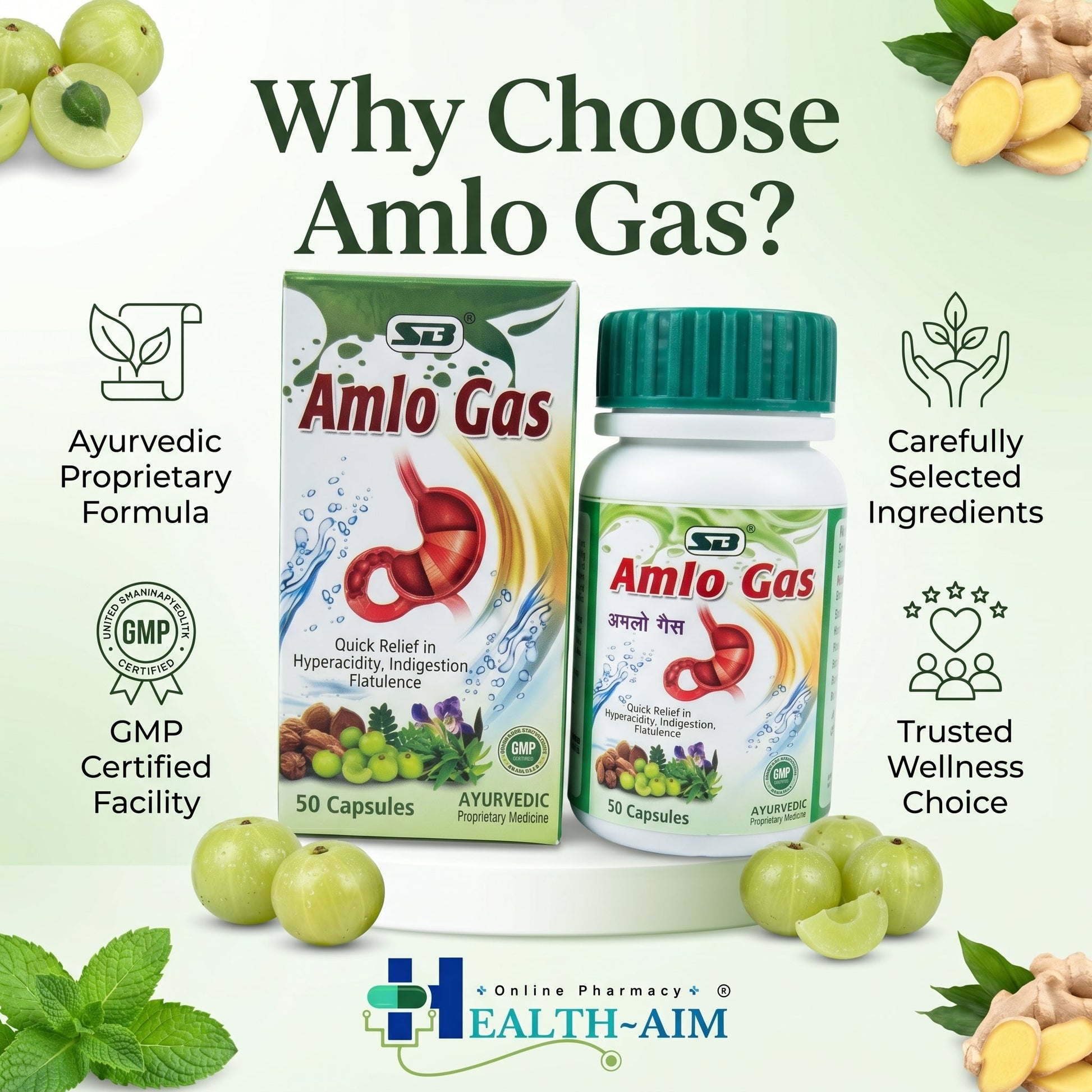Ayurvedic Amlo Gas Capsule For Quick Relief Indigestion | 50Caps | Pack Of 2 - HEALTH AIM PHARMACY