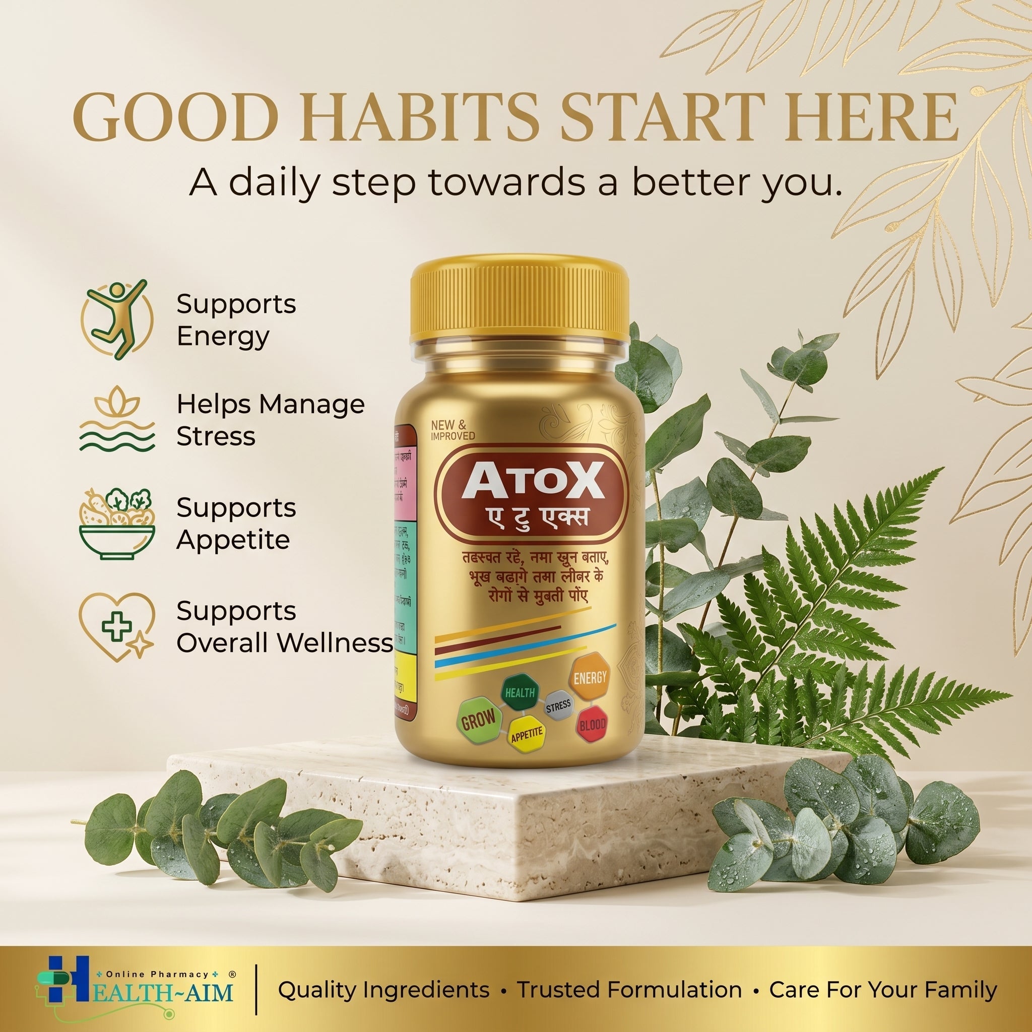 Ayurvedic AtoX Capsule for Energy | 50Caps | Pack Of 2 - HEALTH AIM PHARMACY