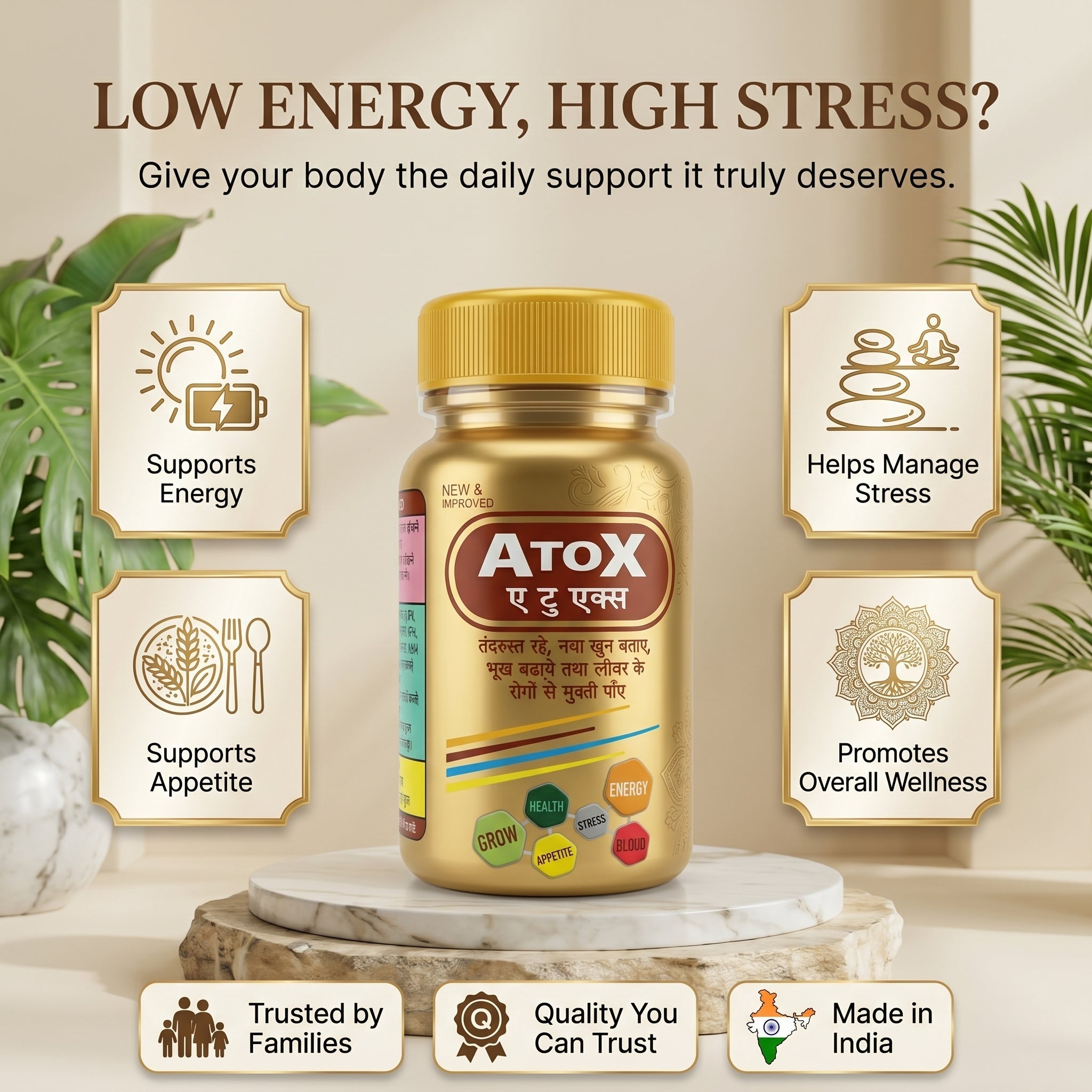 Ayurvedic AtoX Capsule for Energy | 50Caps | Pack Of 2 - HEALTH AIM PHARMACY