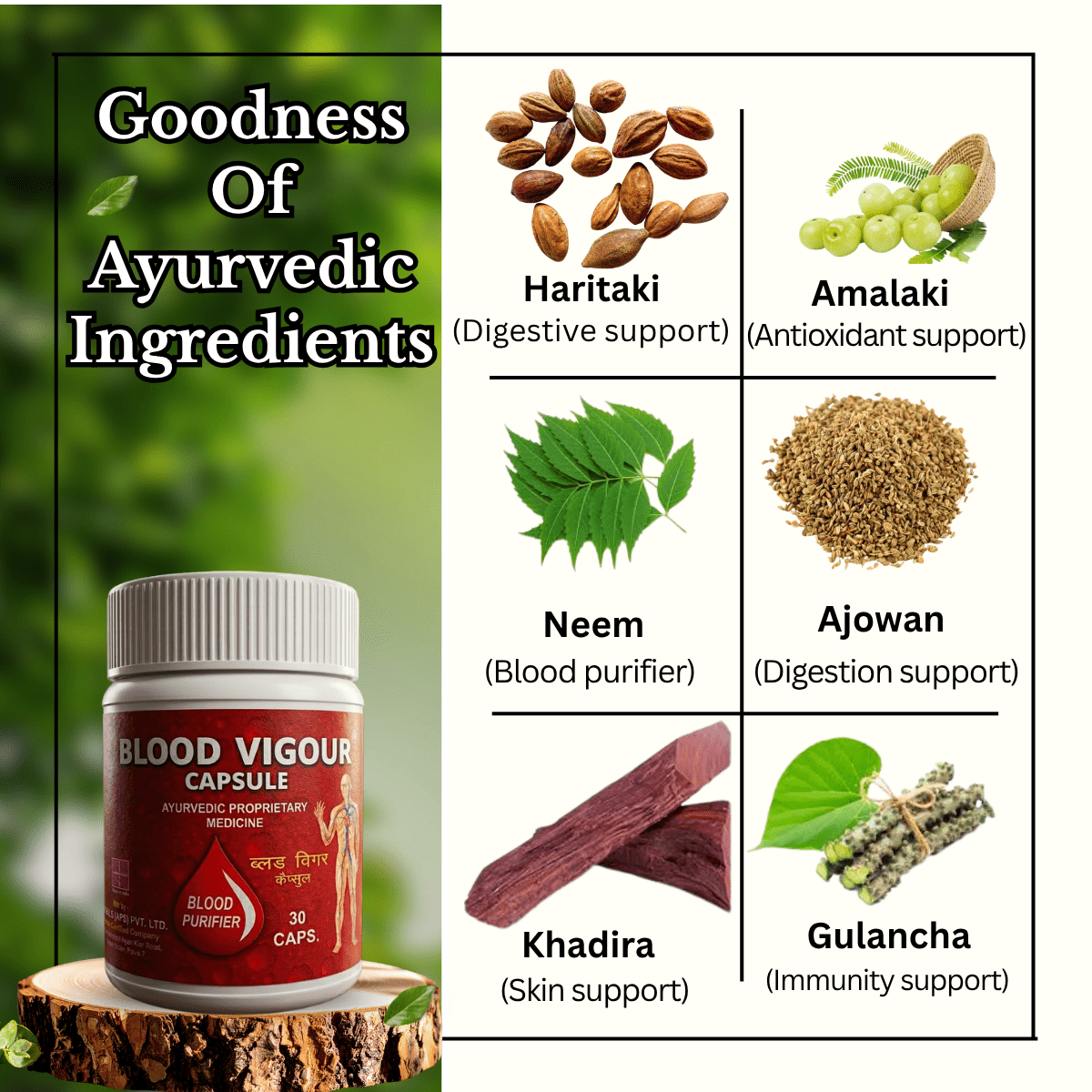 Ayurvedic Blood vigour Capsule and SkinRog Capsule & Hemo Iron Tonic Combo | 30Caps + 30 Caps + 450ml | Combo Pack - HEALTH AIM PHARMACY