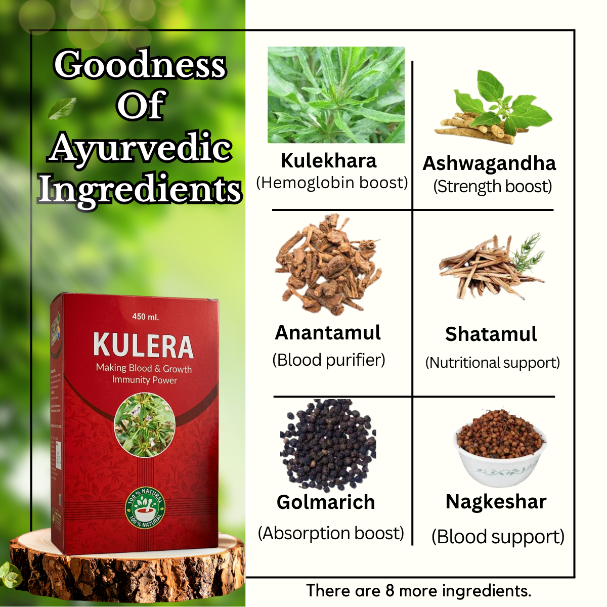 Ayurvedic Blood Vigour Capsule + SkinRog Capsule & Kulera Syrup Combo | 30Caps + 30Caps + 450ml |Combo Pack - HEALTH AIM PHARMACY