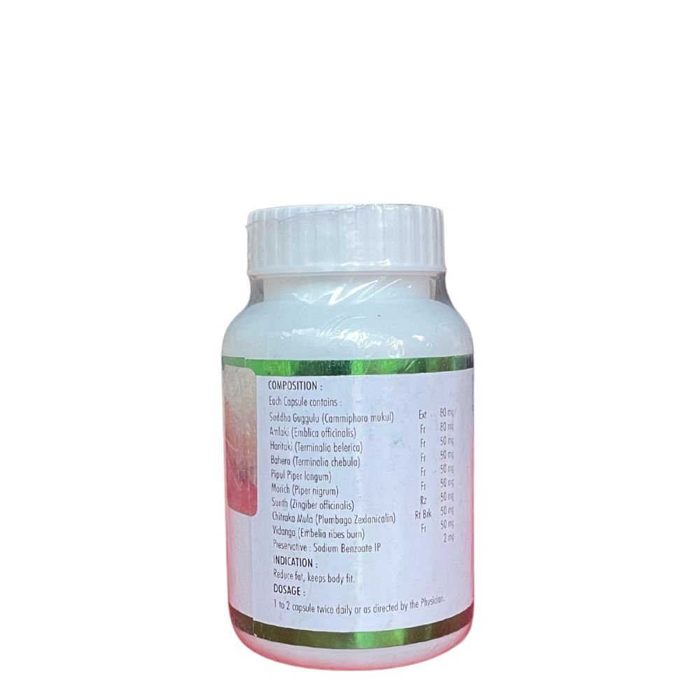 AYURVEDIC FAT OUT 60 CAPSULE (PACK OF 2) - HEALTH AIM PHARMACY
