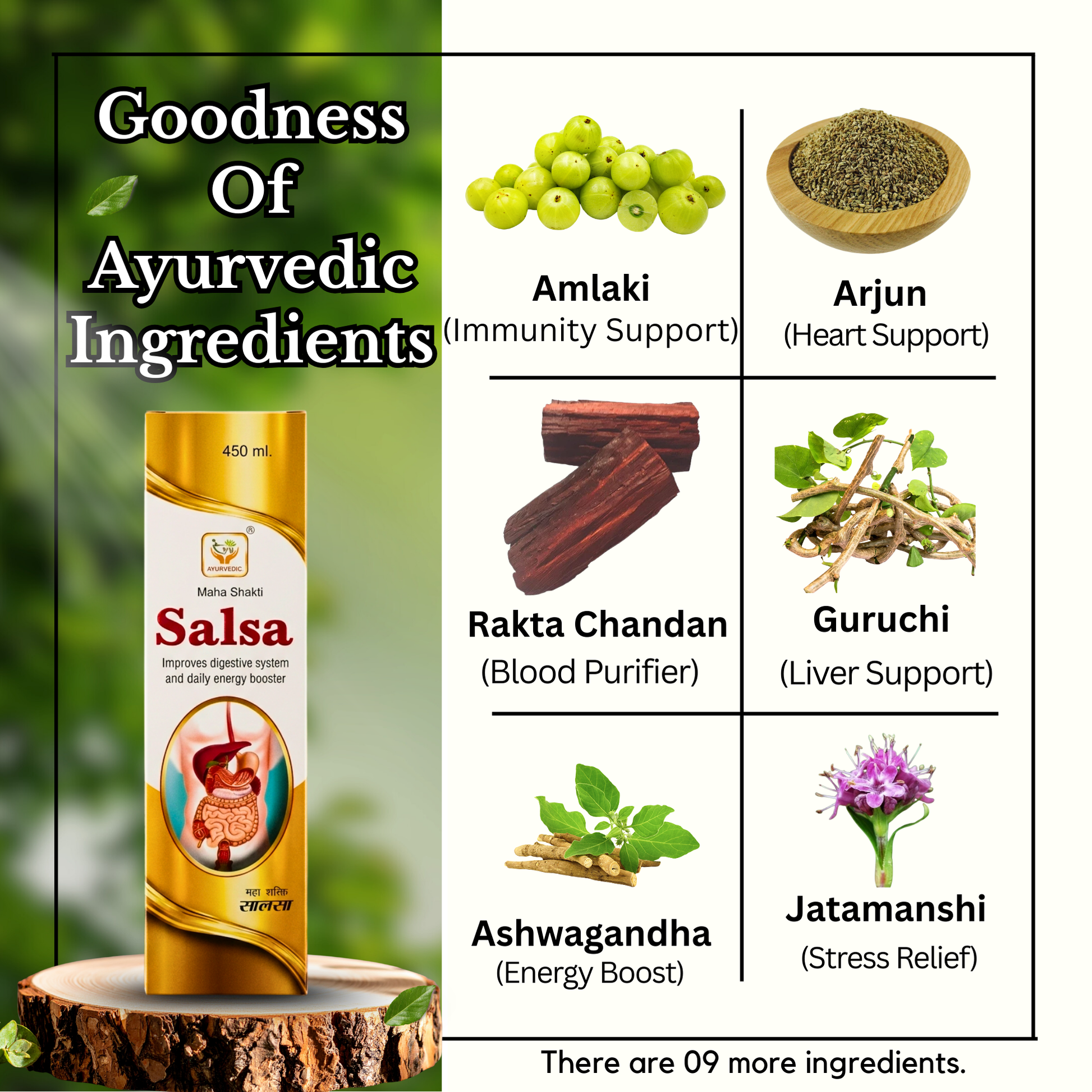 Ayurvedic Gasaram Capsule + Maha Shakti Salsa Tonic | 30Caps + 450ml | Combo Pack - HEALTH AIM PHARMACY