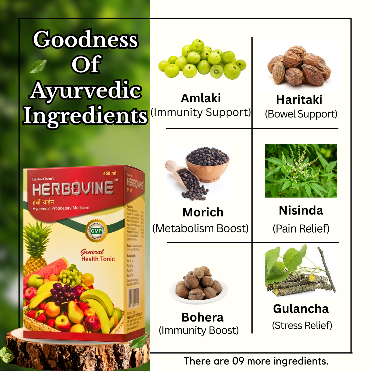 Ayurvedic Gasaram Capsules + Herbovine Tonic | 30Caps + 450ml | combo Pack - HEALTH AIM PHARMACY