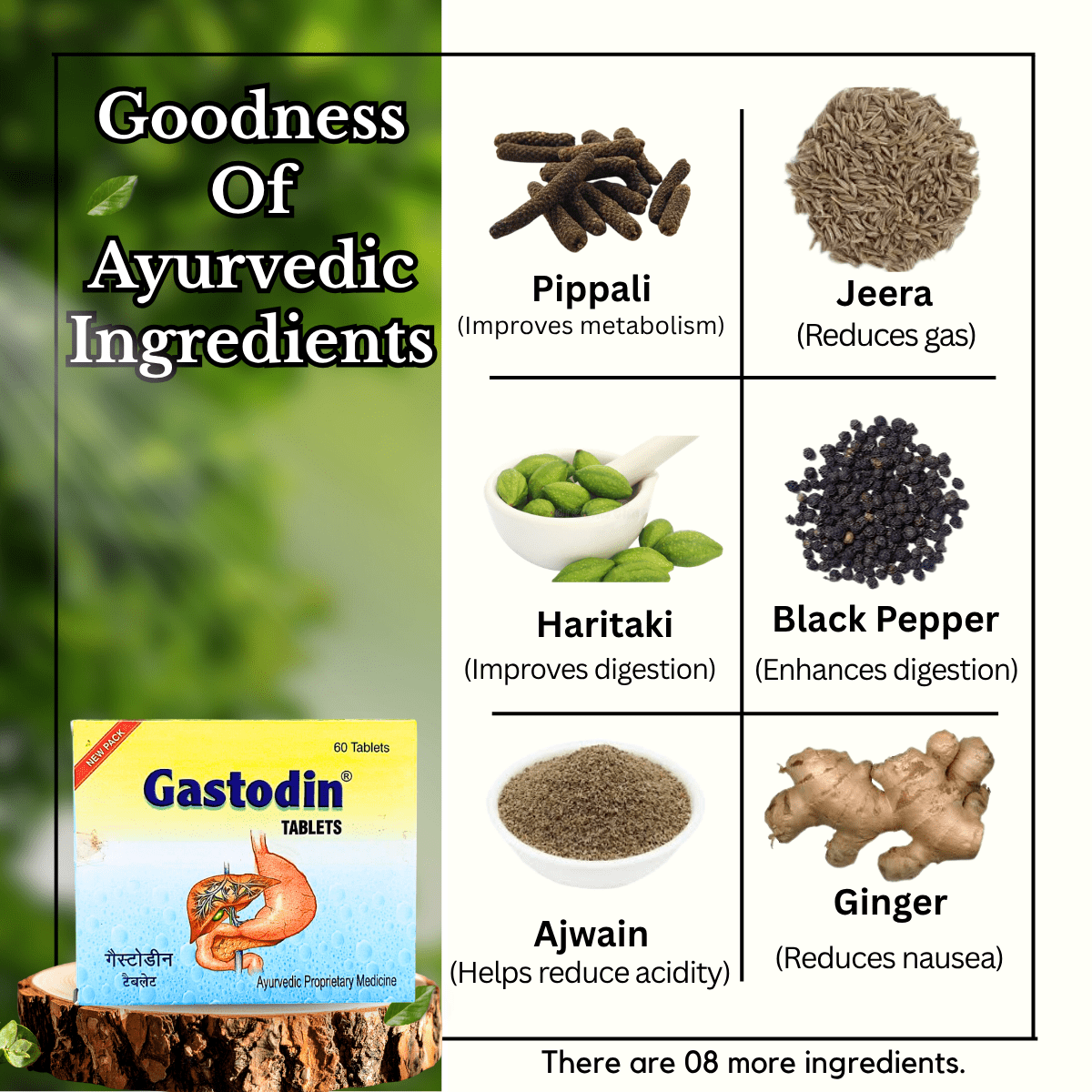 Ayurvedic Gastodin Tablet and Laxogin Powder & Maha Shakti Salsa Tonic Combo | 60Tabs + 100gm + 450ml | Combo Pack - HEALTH AIM PHARMACY