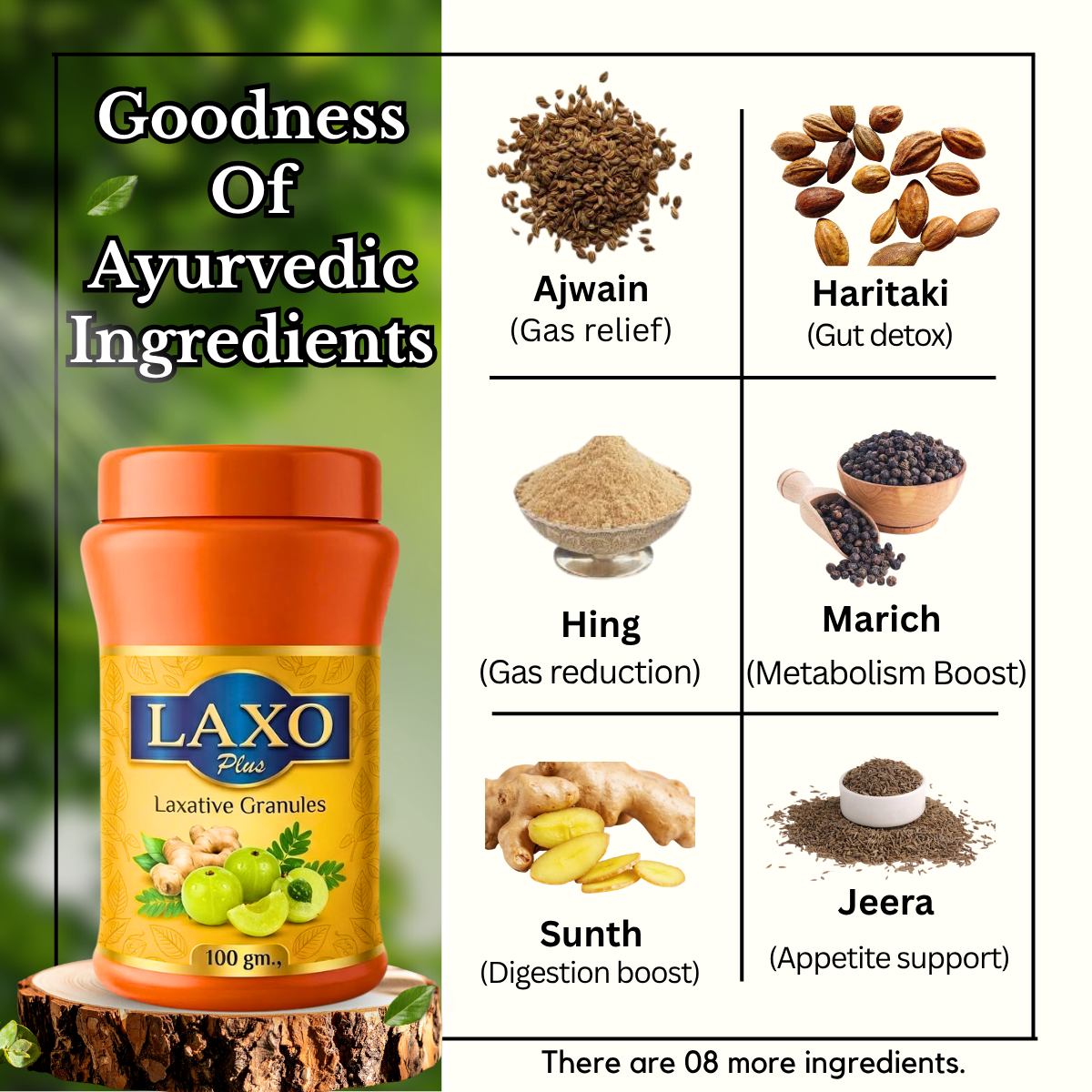 Ayurvedic Gastodin Tablets and Maha Sanjivani Salsa Tonic & Laxo Plus Powder Combo | 60Tabs + 450ml + 100gm | Combo Pack - HEALTH AIM PHARMACY