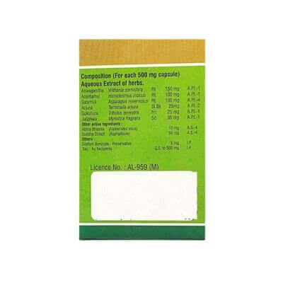 ayurvedic Happy Life Capsule (pack of - 2) - HEALTH AIM PHARMACY