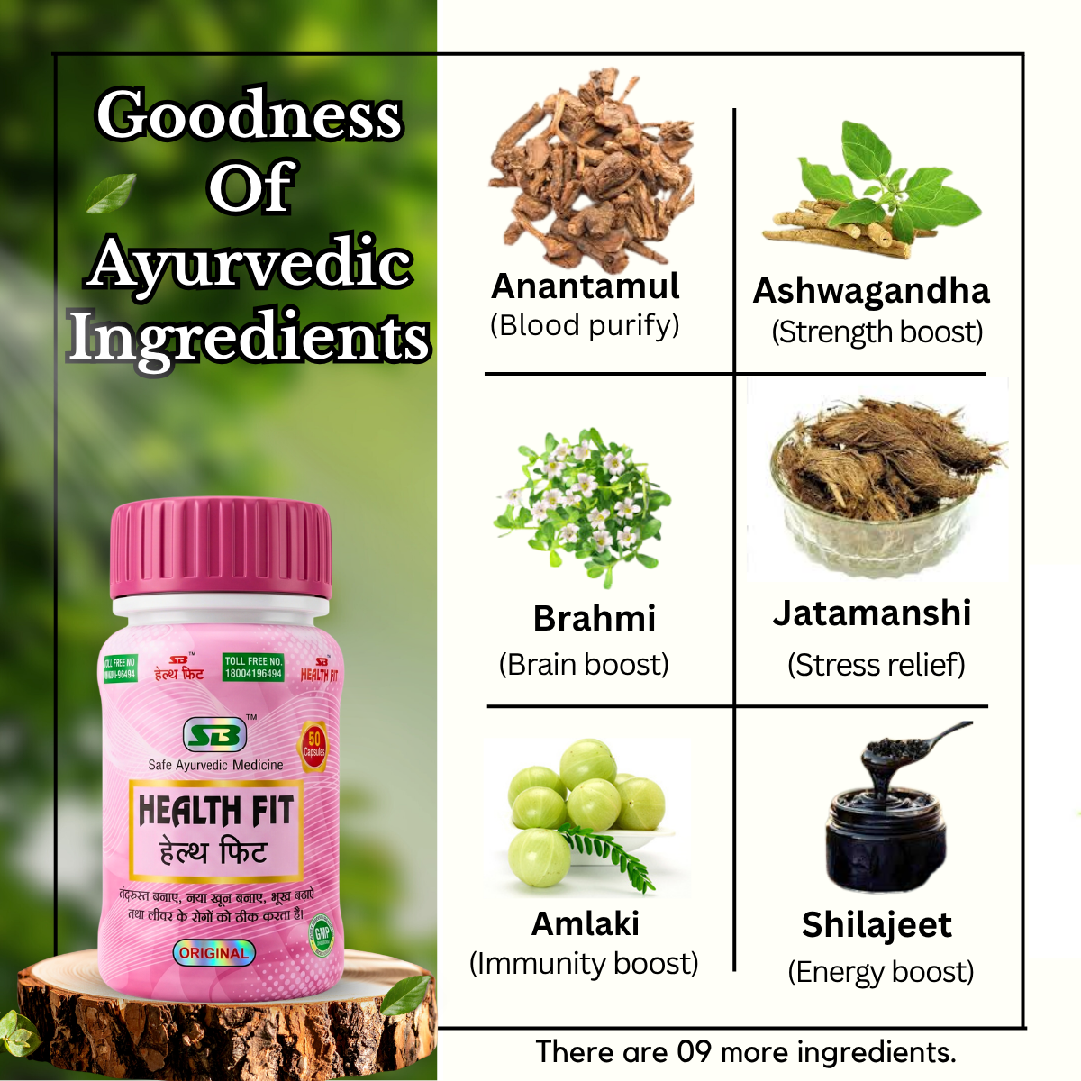 Ayurvedic Health Fit Capsules | Herbal Supplement for Energy, Immunity & Weight Management | Supports Metabolism, Digestion & Overall Wellness | Men & Women | Pack of 3 - HEALTH AIM PHARMACY
