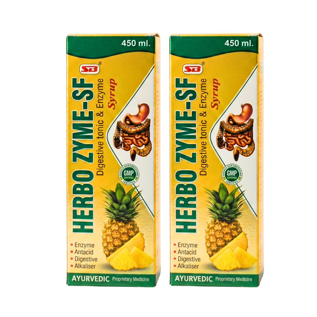 Ayurvedic HERBO ZYME - SF SYRUP | 450ml | (PACK OF 2) - HEALTH AIM PHARMACY