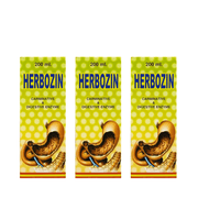 Ayurvedic Herbozin Syrup 200ml. ( pack of 3 ) - HEALTH AIM PHARMACY