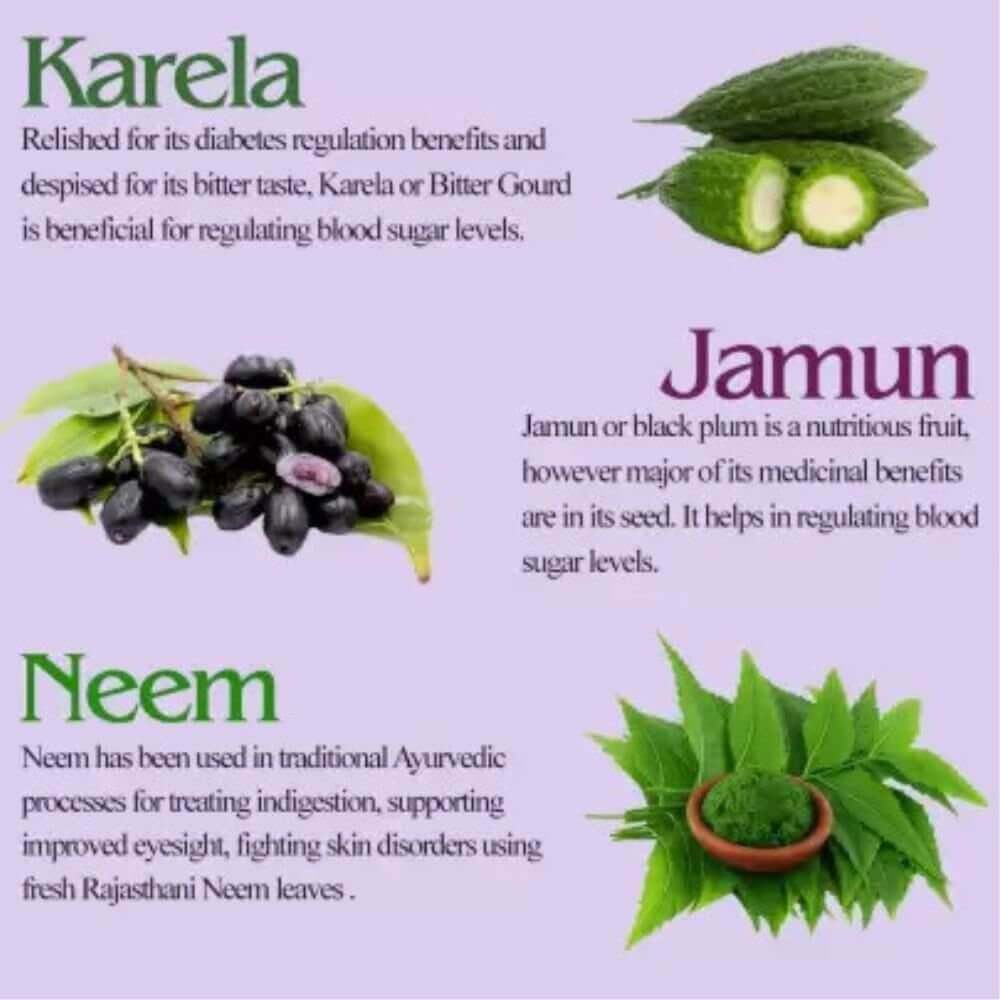 Ayurvedic Karela Juice 450m.l (pack of 2) - HEALTH AIM PHARMACY
