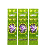 Ayurvedic Kulekhara Juice For Low Blood Pressure (PACK OF 3) - HEALTH AIM PHARMACY