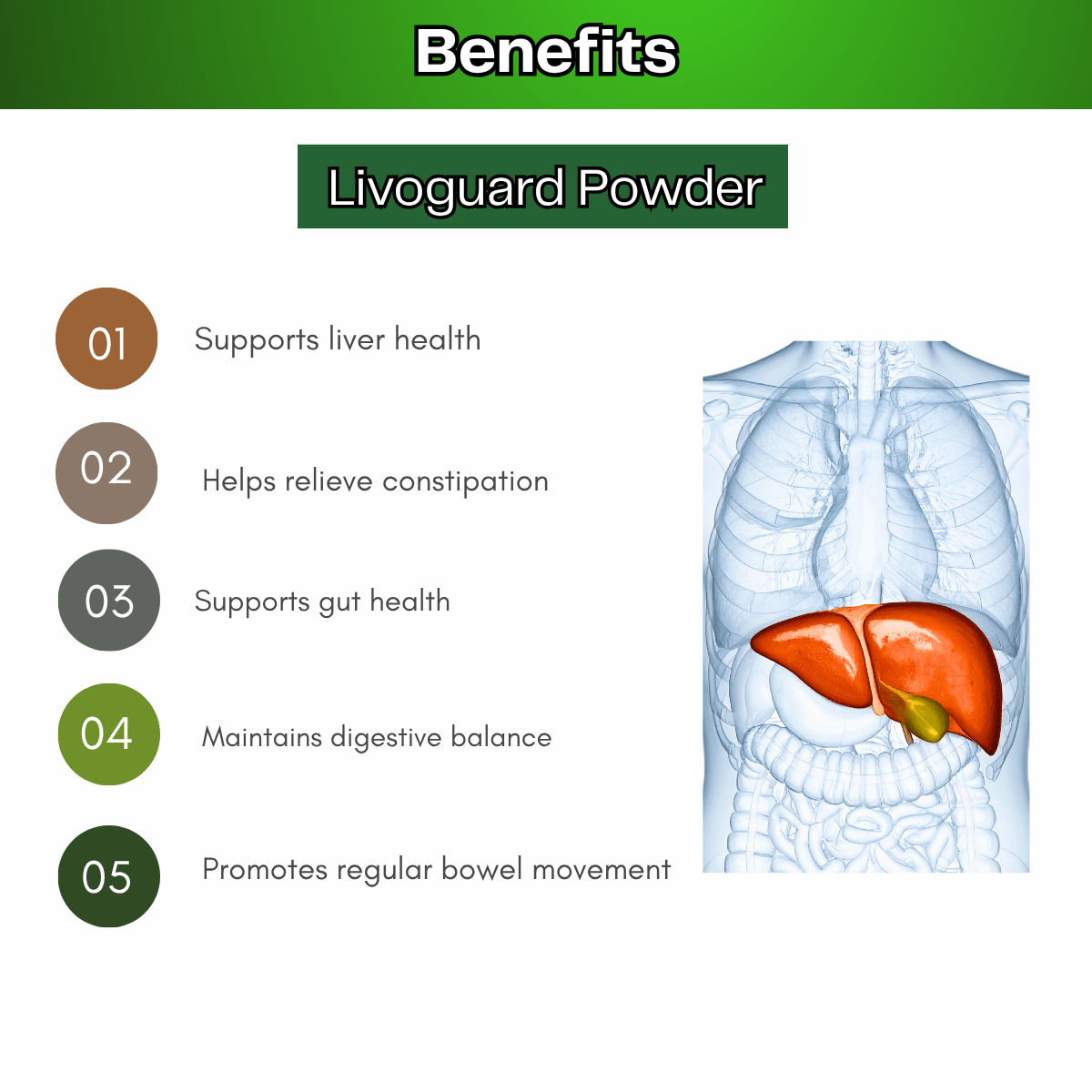 Ayurvedic Liver Care & Digestive Wellness Combo – Livospin Tablets + Liver Guard Tonic + Livoguard Powder | Supports Liver Health, Digestion & Detox - HEALTH AIM PHARMACY