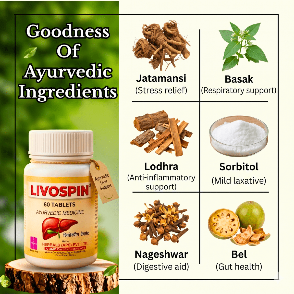 Ayurvedic Liver Care & Digestive Wellness Combo – Livospin Tablets + Liver Guard Tonic + Livoguard Powder | Supports Liver Health, Digestion & Detox - HEALTH AIM PHARMACY