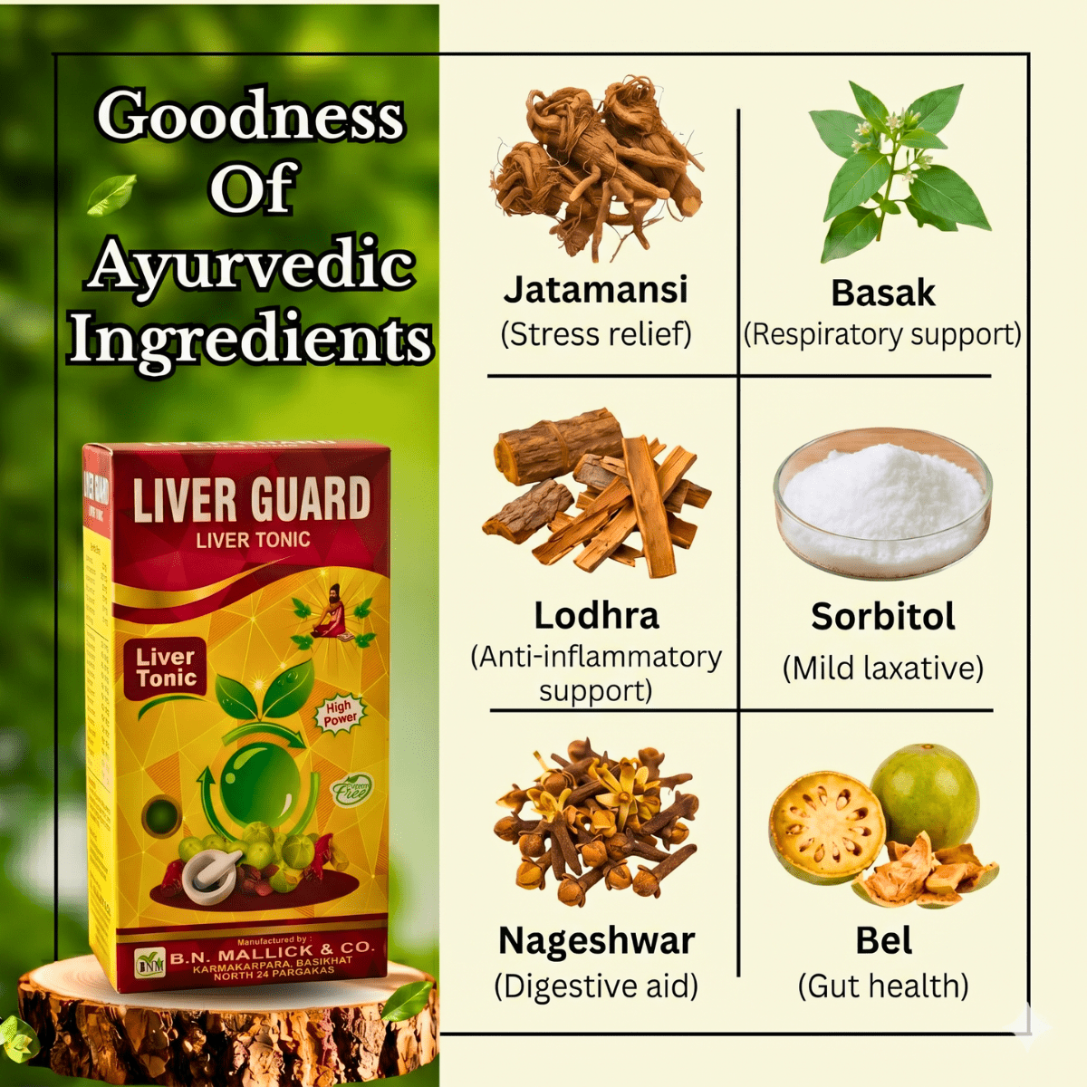 Ayurvedic Liver Care & Digestive Wellness Combo – Livospin Tablets + Liver Guard Tonic + Livoguard Powder | Supports Liver Health, Digestion & Detox - HEALTH AIM PHARMACY