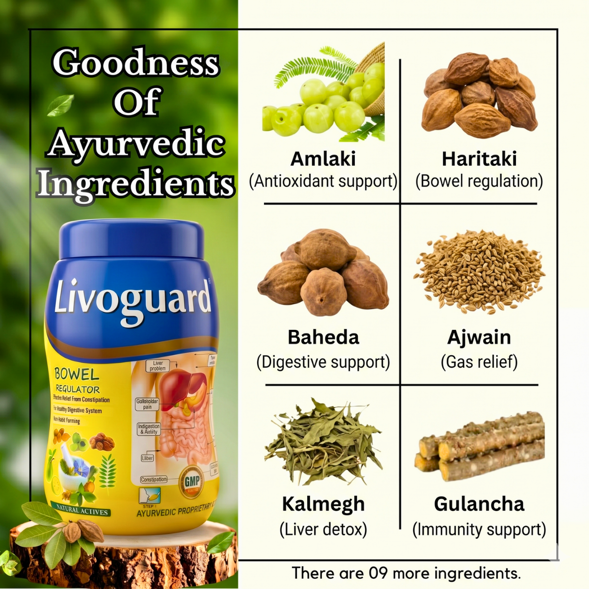 Ayurvedic Liver Care & Digestive Wellness Combo – Livospin Tablets + Liver Guard Tonic + Livoguard Powder | Supports Liver Health, Digestion & Detox - HEALTH AIM PHARMACY