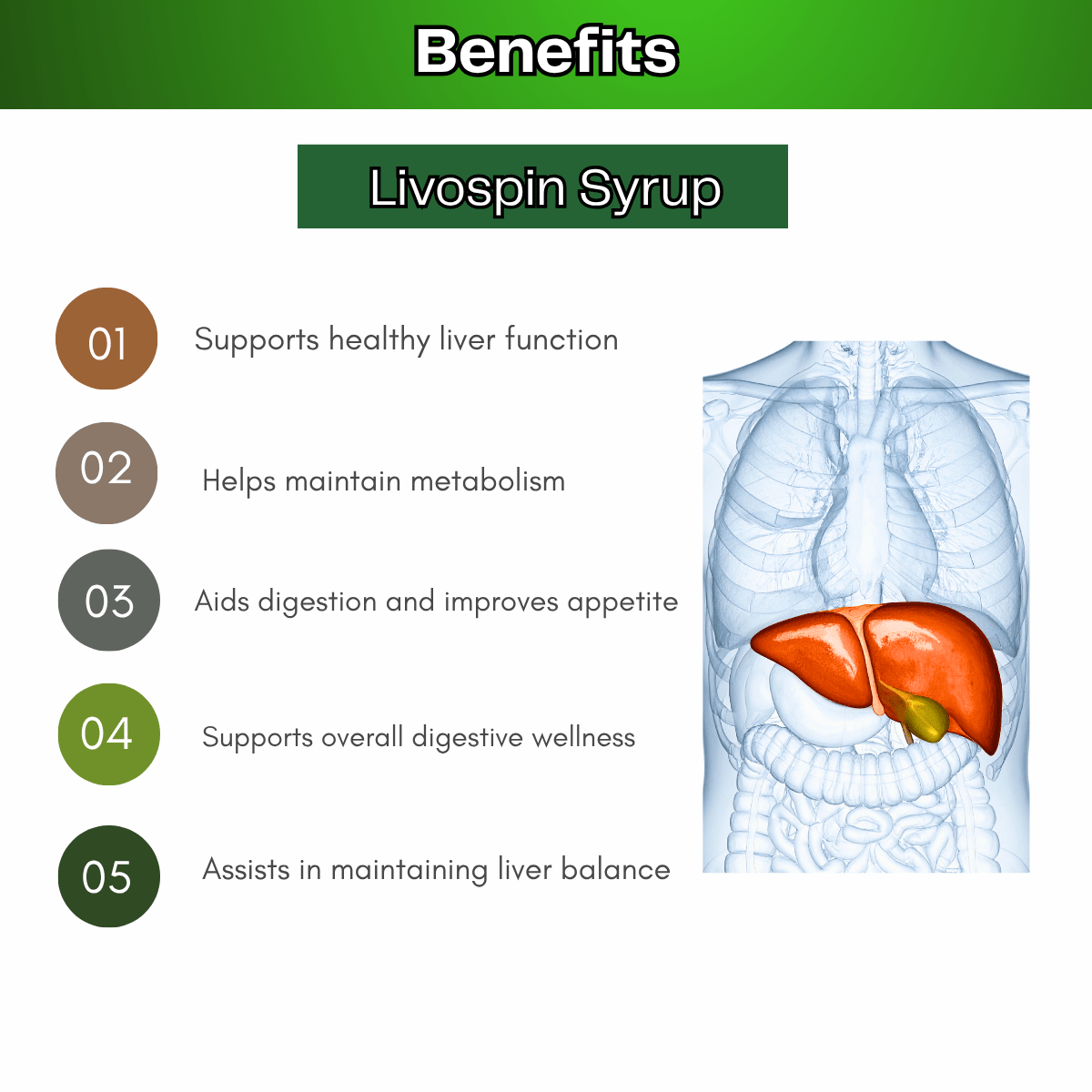 Ayurvedic Livospin Syrup & The Fatty Liver Capsule for fatty Liver combo | 200ml + 30 Caps | Combo Pack - HEALTH AIM PHARMACY