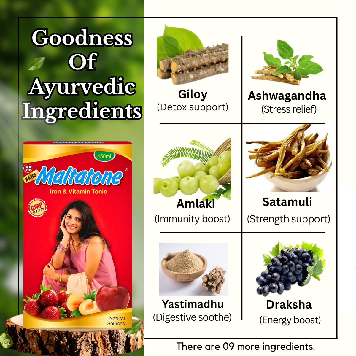Ayurvedic Maltatone Syrup | Iron, Vitamins & Protein Health Tonic | Supports Appetite, Energy & Overall Wellness | Herbal Nutritional Supplement | Pack Of 2 - HEALTH AIM PHARMACY