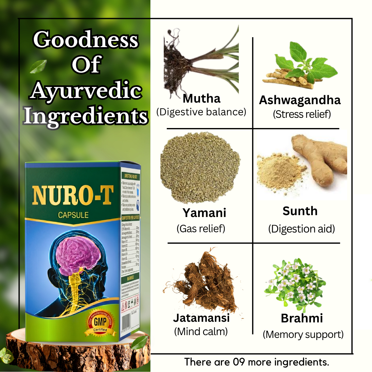 Ayurvedic NURO - T Capsule | Nerve Support & Energy | Herbal Formula, Stress Relief, Fatigue & Nervous System Health | Suitable Men, Women - HEALTH AIM PHARMACY