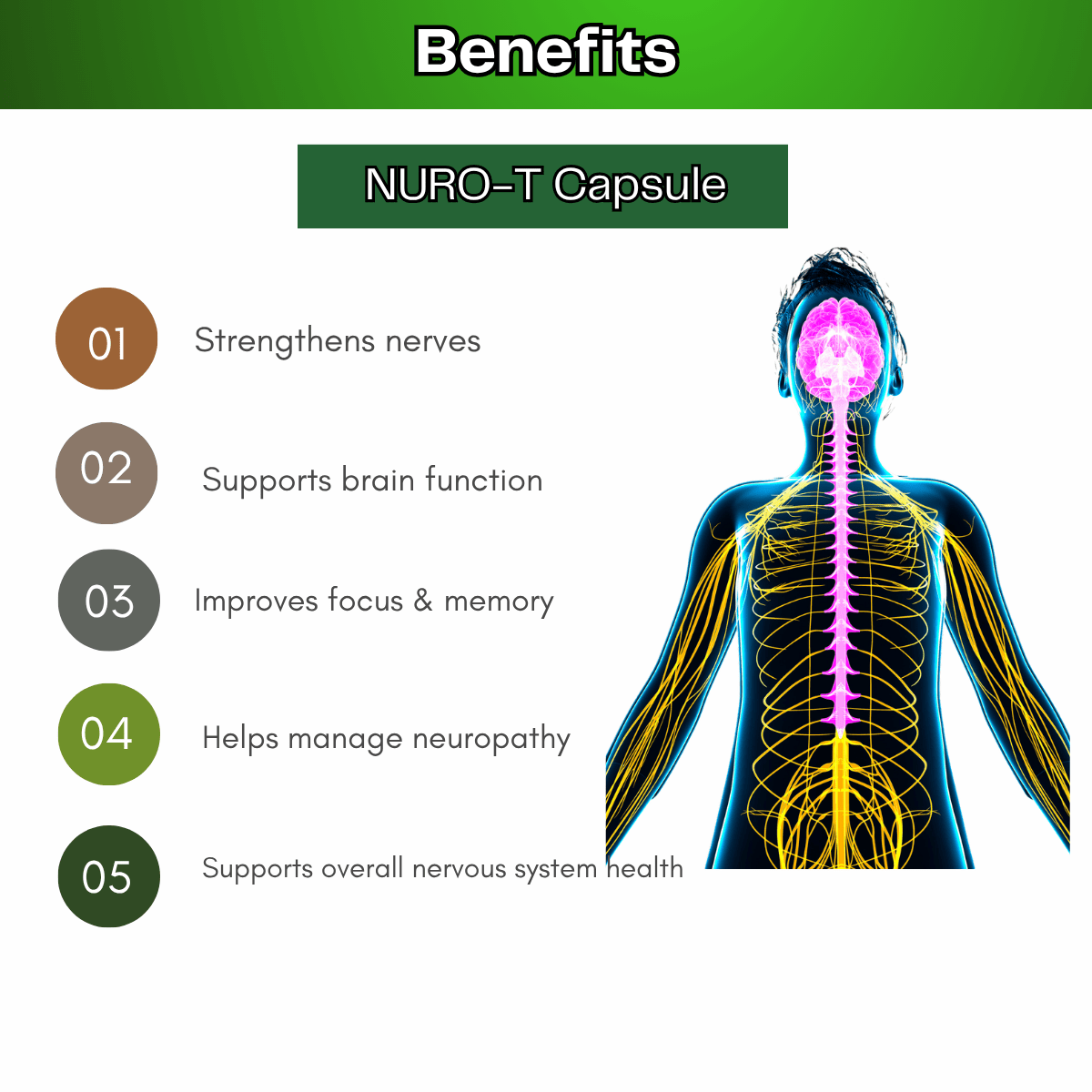 Ayurvedic NURO - T Capsule | Nerve Support & Energy | Herbal Formula, Stress Relief, Fatigue & Nervous System Health | Suitable Men, Women - HEALTH AIM PHARMACY
