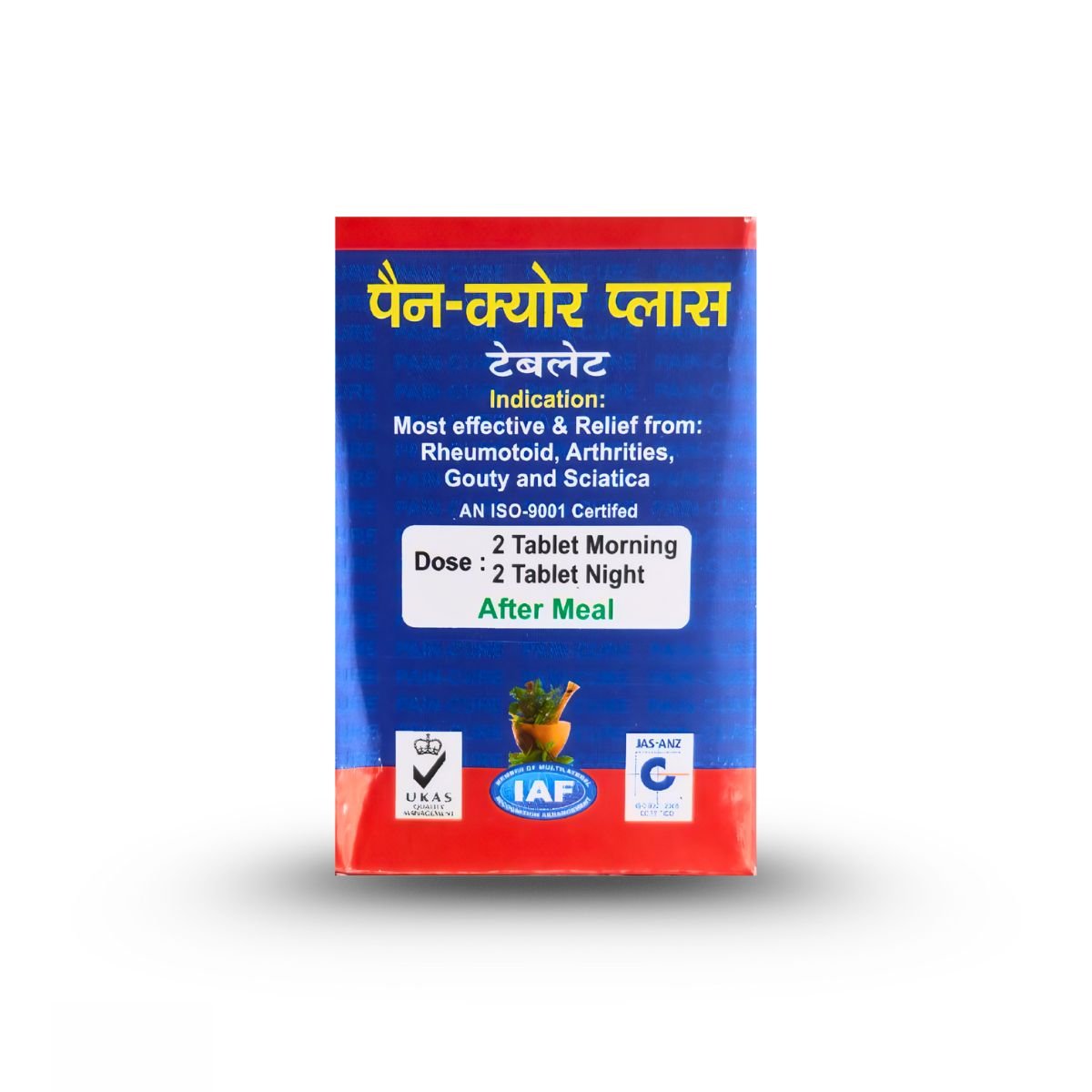 Ayurvedic PAIN-CURE PLUS 40 TABLETS (PACK OF 3) - HEALTH AIM PHARMACY