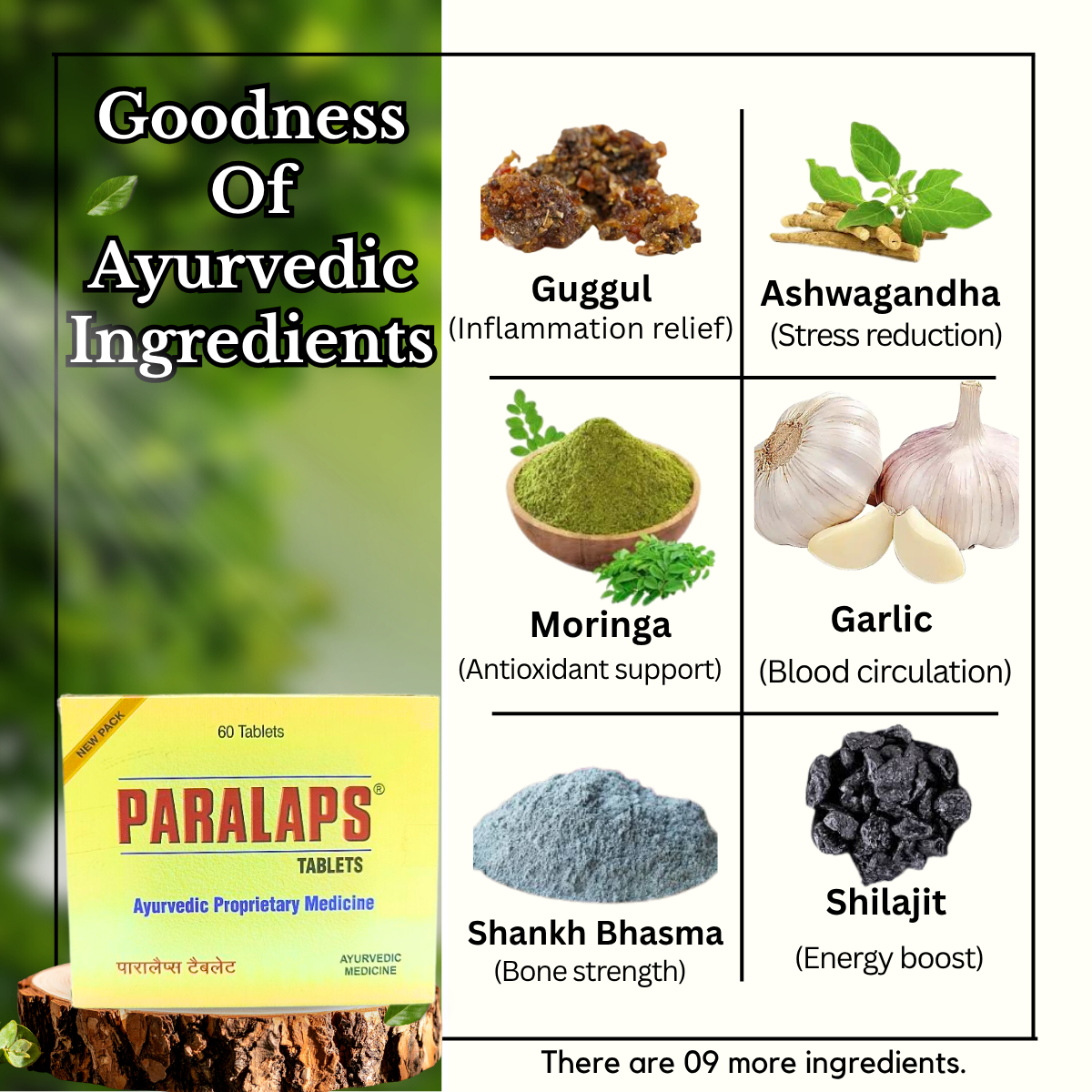 Ayurvedic Paralaps Tablets and Go - Pen Massage Oil & Orthotein Gold Malt Tonic Combo | 60Tabs + 100ml + 400gm | Combo Pack - HEALTH AIM PHARMACY