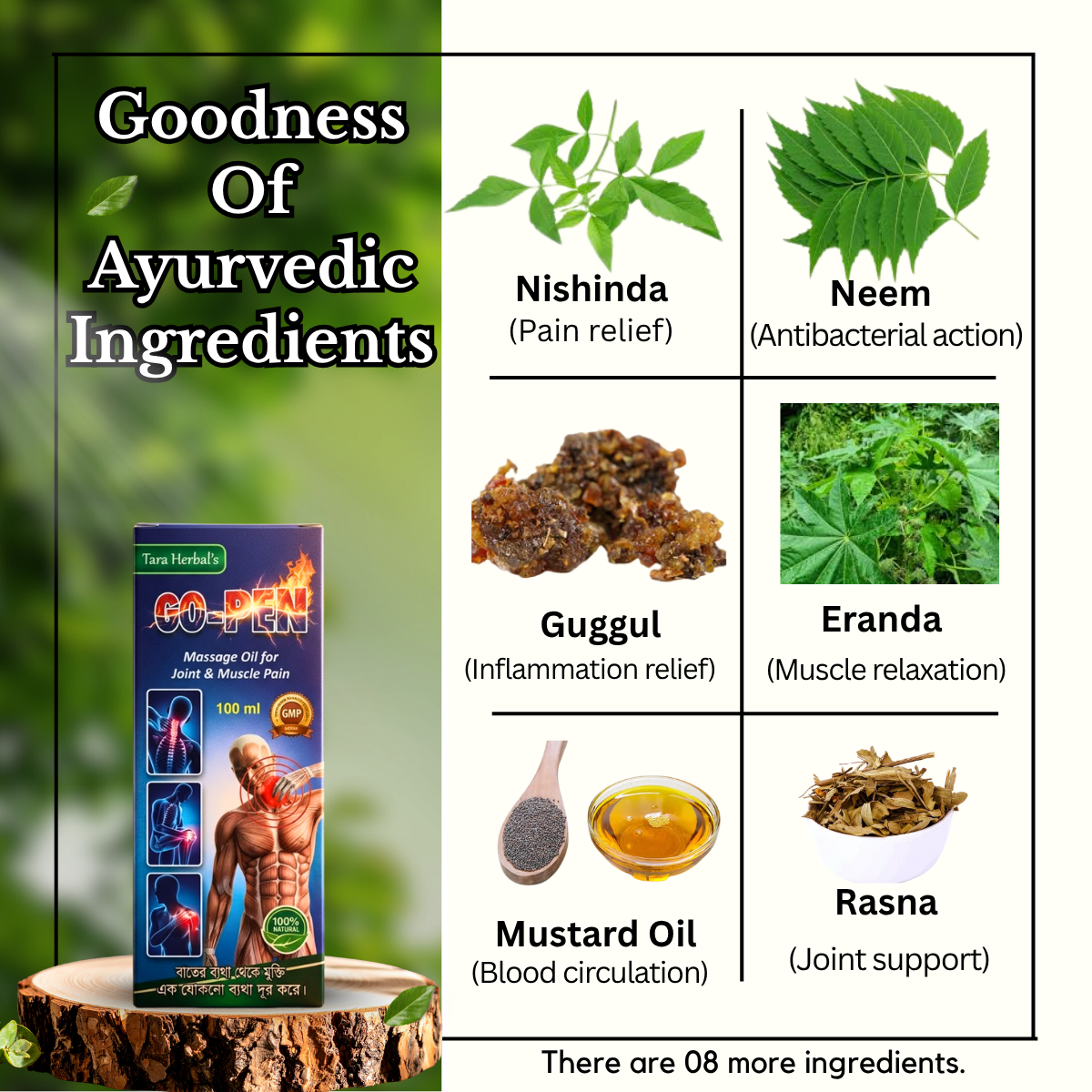 Ayurvedic Paralaps Tablets and Go - Pen Massage Oil & Orthotein Gold Malt Tonic Combo | 60Tabs + 100ml + 400gm | Combo Pack - HEALTH AIM PHARMACY