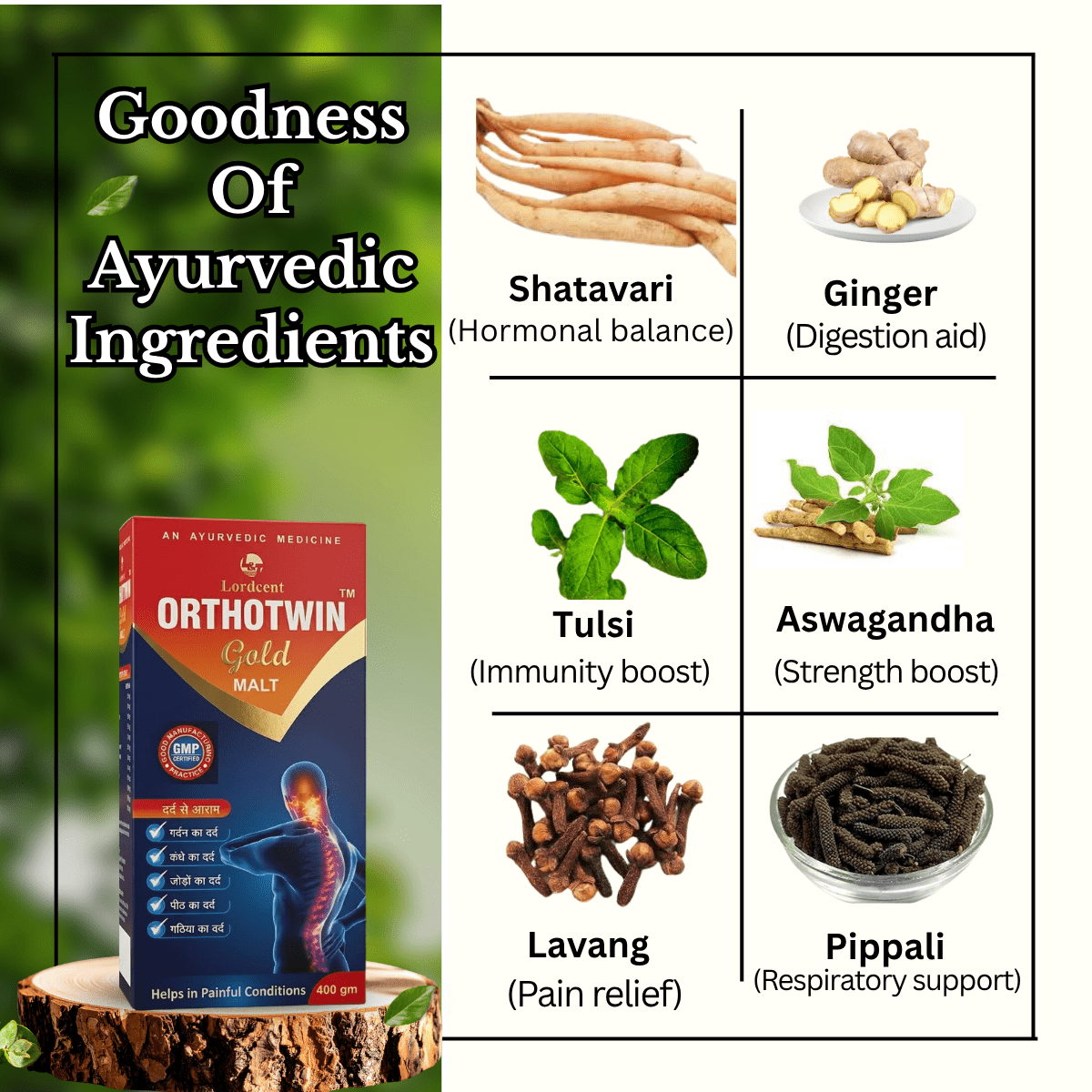 Ayurvedic Paralaps Tablets and Go - Pen Massage Oil & Orthotein Gold Malt Tonic Combo | 60Tabs + 100ml + 400gm | Combo Pack - HEALTH AIM PHARMACY