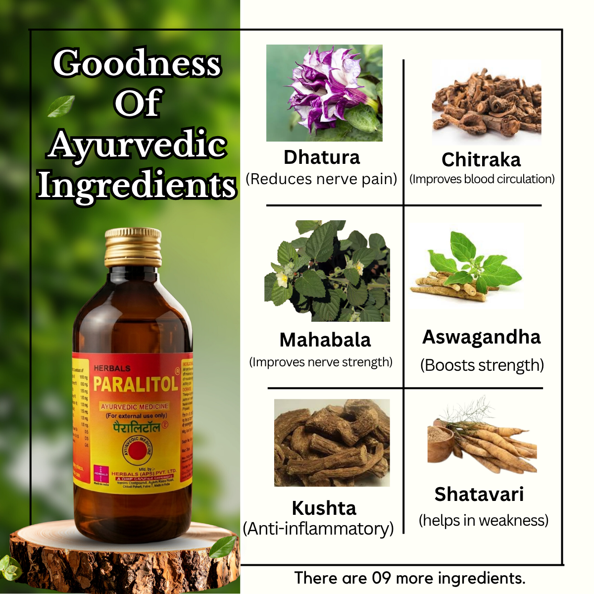 Ayurvedic Paralitol Oil and Pain QR Plus Capsule & Arnica gel Combo | 400ml + 50Caps + 25g | Combo Pack - HEALTH AIM PHARMACY