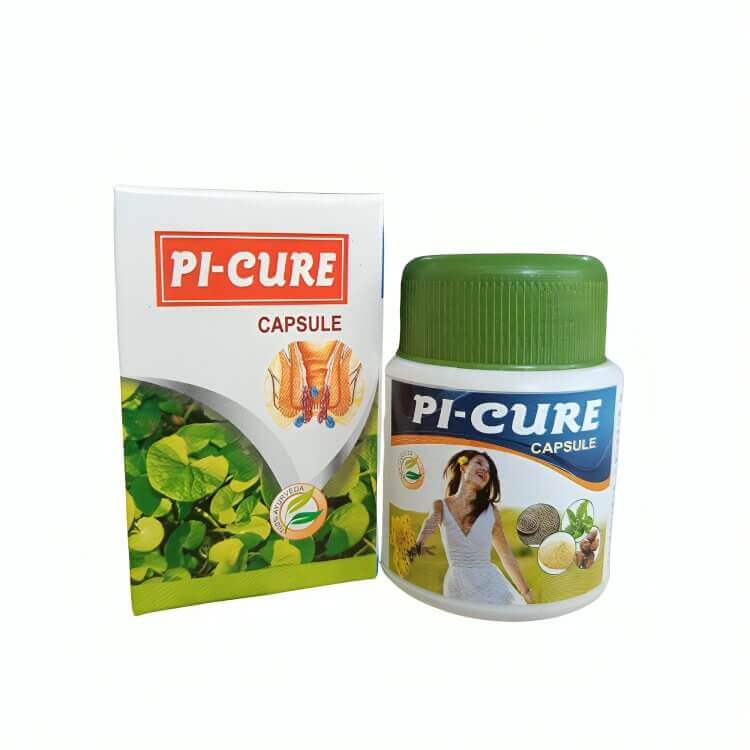 Ayurvedic Pi - Cure Capsule for Hemorrhoid, Constipation (PACK OF 2) - HEALTH AIM PHARMACY