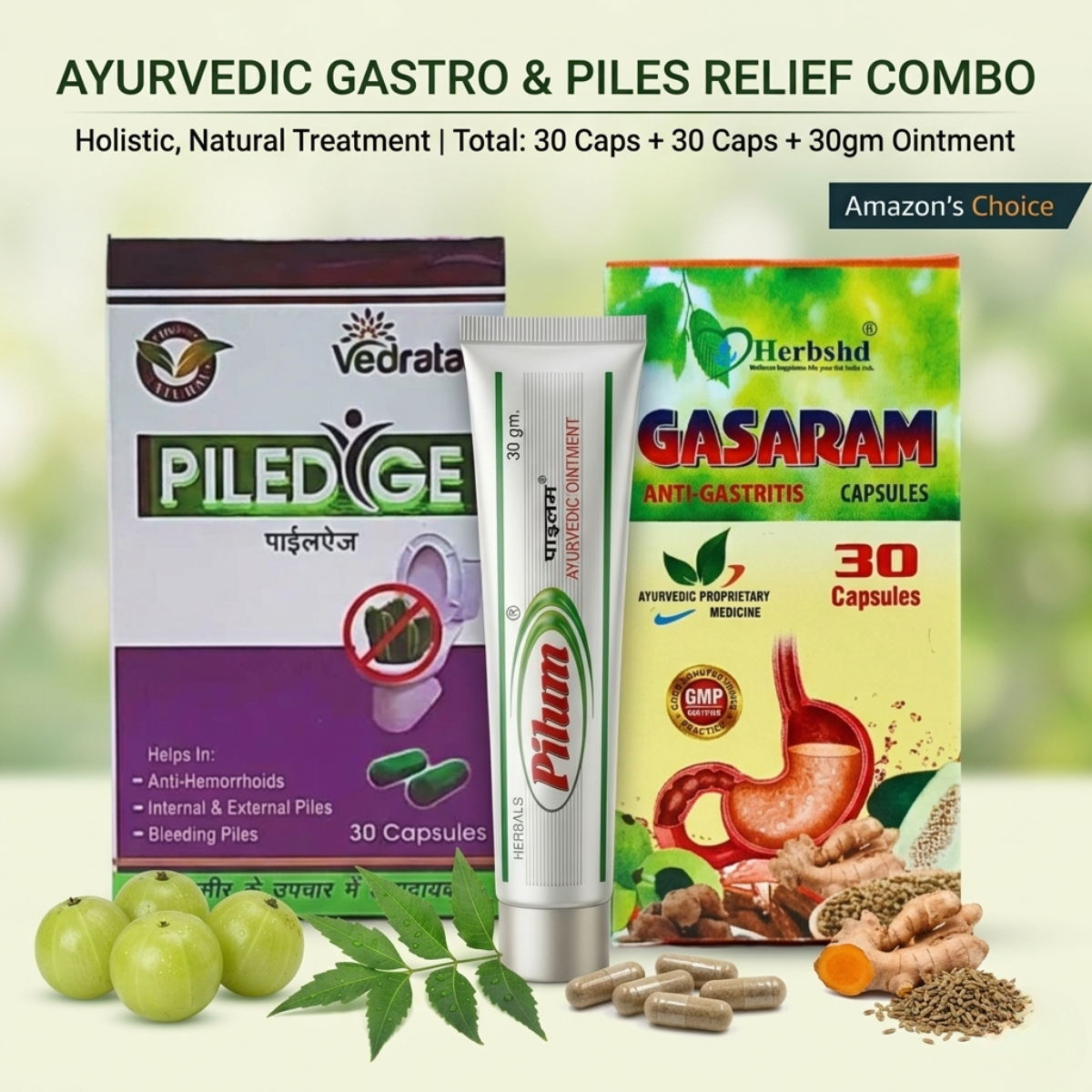 Ayurvedic Piledyge Capsule & Pilum Ointment & Gasaram Capsule Combo | 30Caps + 30gm + 30Caps | Combo Pack - HEALTH AIM PHARMACY