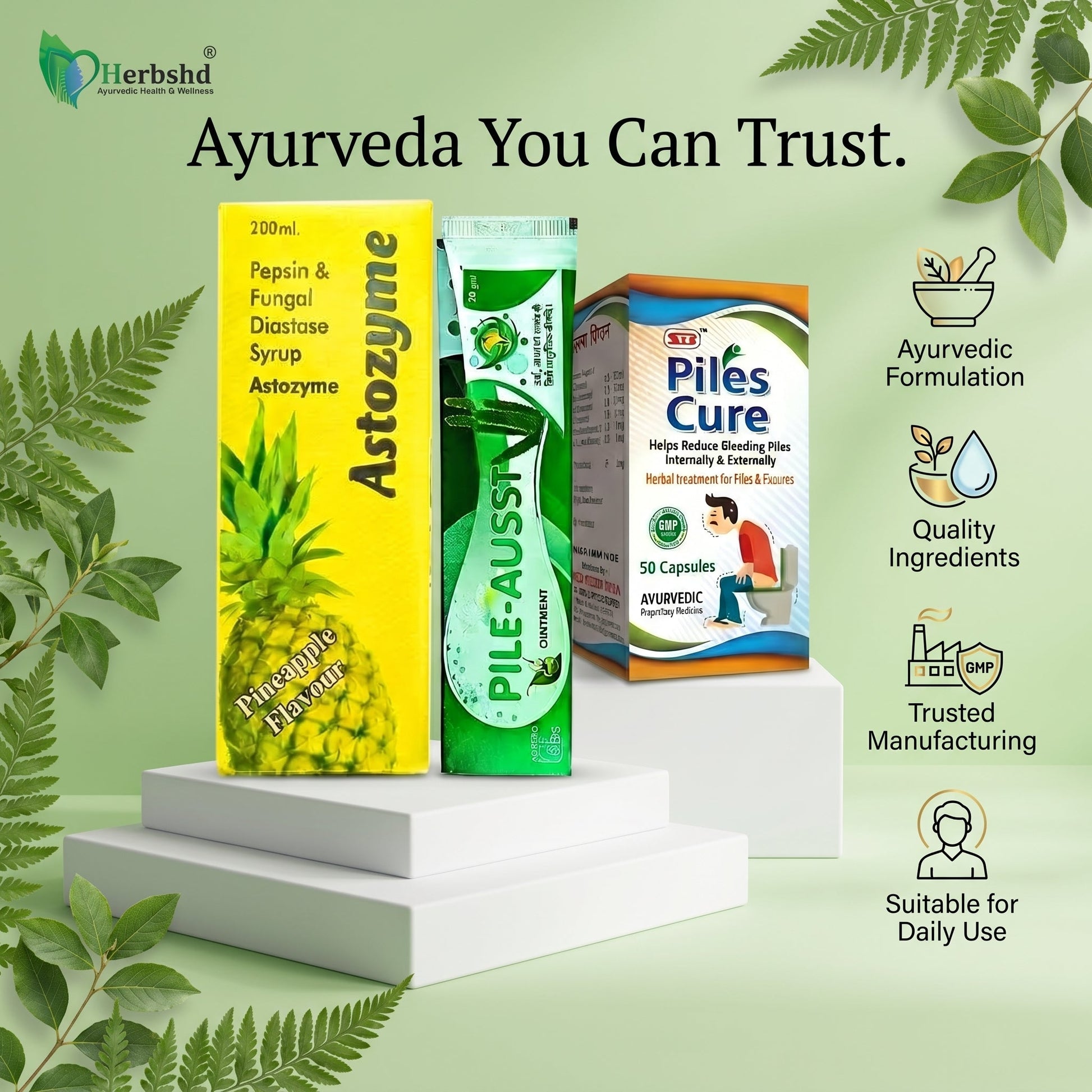 Ayurvedic Piles Combo Kit: Piles Cure Capsule, Astozyme Syrup, Pile - Aust Ointment & Gasaram Capsule | 50Caps + 200ml + 20gm + 30Caps - HEALTH AIM PHARMACY
