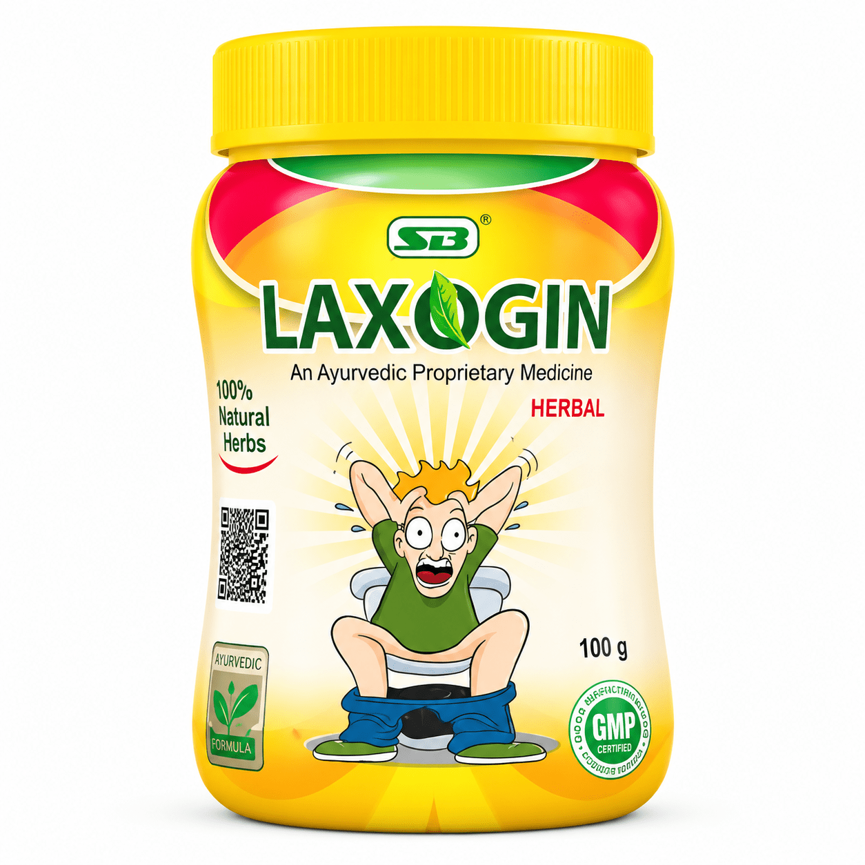 AYURVEDIC PILES RELIEF LAXOGIN Powder | 100gm - HEALTH AIM PHARMACY