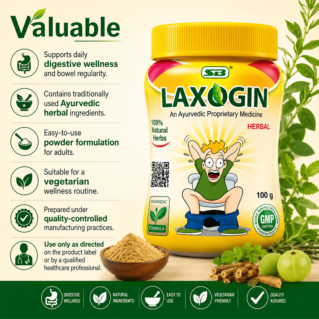 AYURVEDIC PILES RELIEF LAXOGIN Powder | 100gm - HEALTH AIM PHARMACY