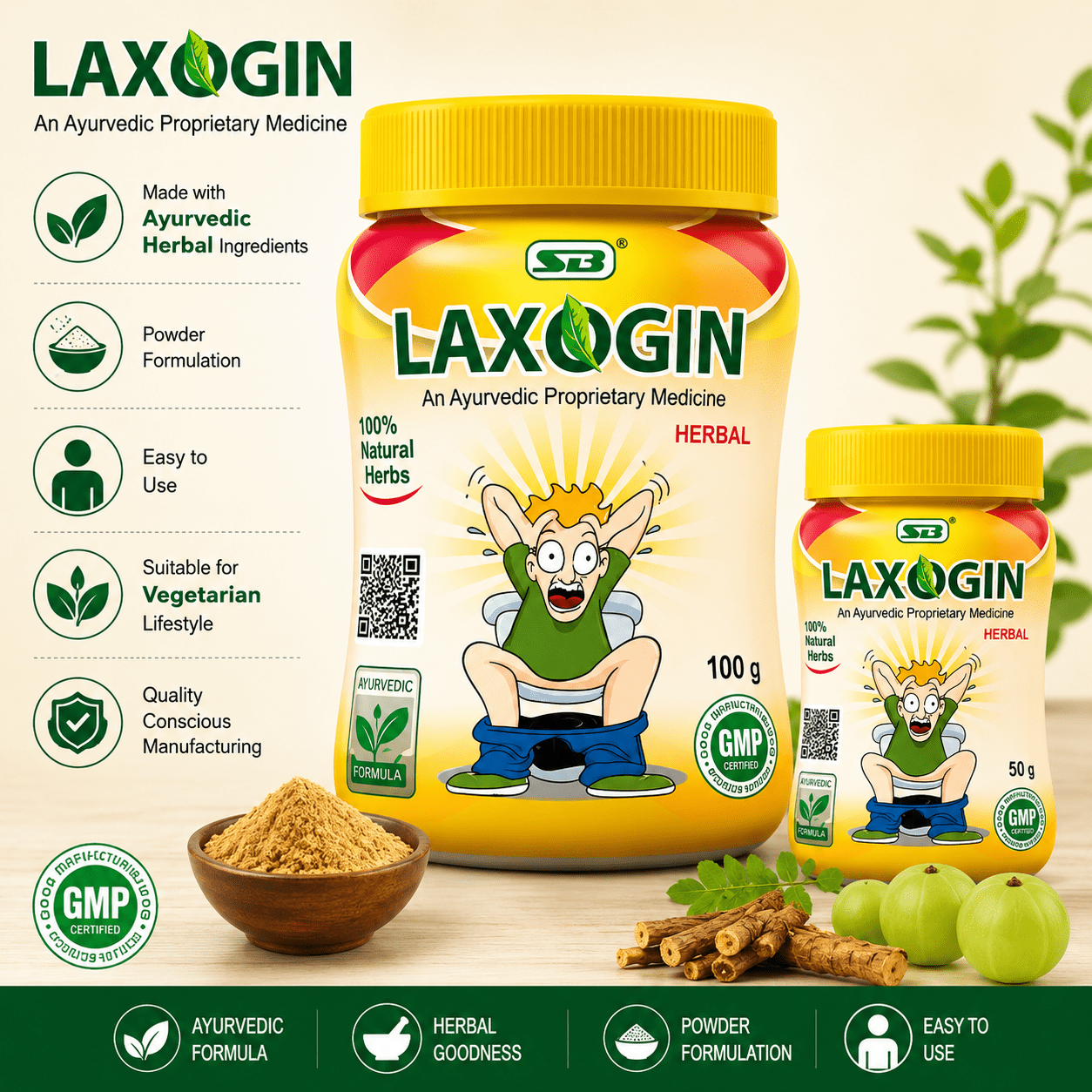 AYURVEDIC PILES RELIEF LAXOGIN Powder | 100gm - HEALTH AIM PHARMACY