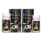 Ayurvedic Pilogen 50 Capsules ( pack of 2) - HEALTH AIM PHARMACY