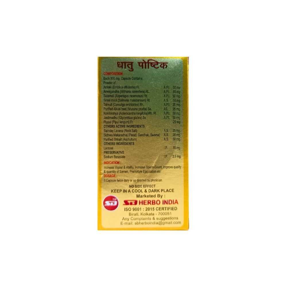 Ayurvedic premature ejaculation Dhatu Paushtic Capsule – Boost Vigour Naturally ( Pack OF 2 ) - HEALTH AIM PHARMACY