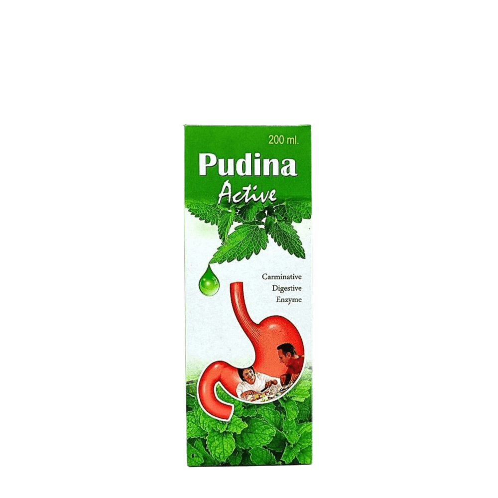 Ayurvedic Pudina Active Syrup 200ml. ( pack of 4) - HEALTH AIM PHARMACY