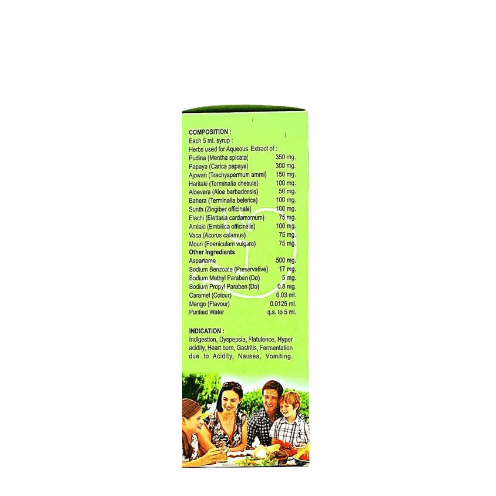 Ayurvedic Pudina Active Syrup 200ml. ( pack of 4) - HEALTH AIM PHARMACY