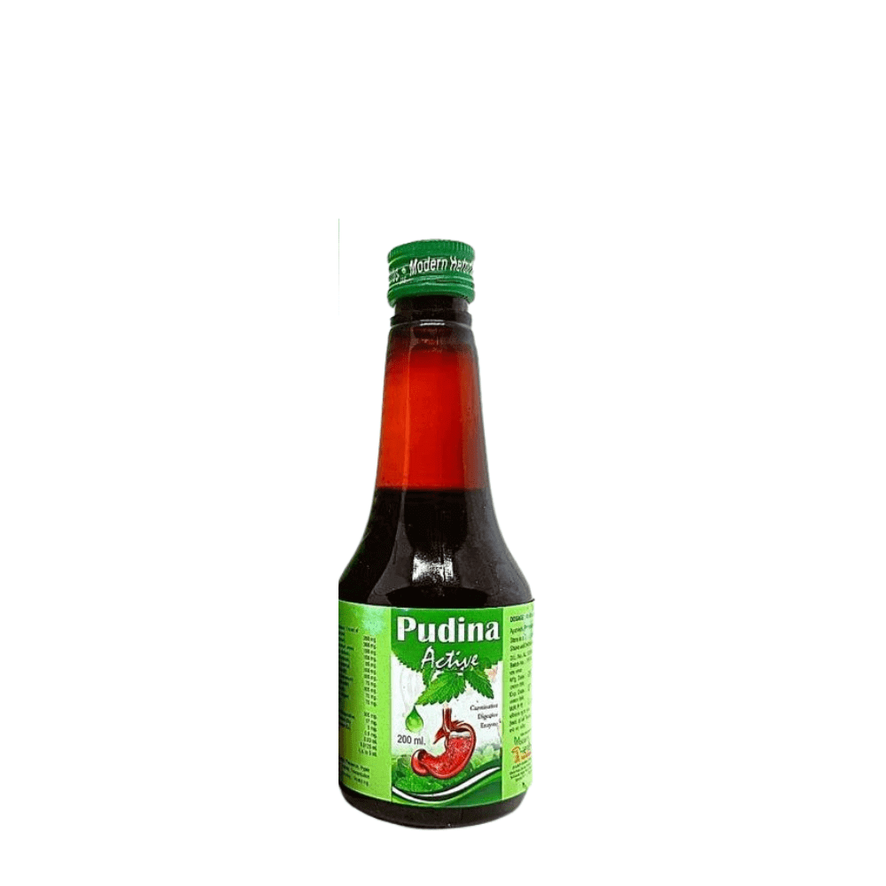 Ayurvedic Pudina Active Syrup 200ml. ( pack of 4) - HEALTH AIM PHARMACY