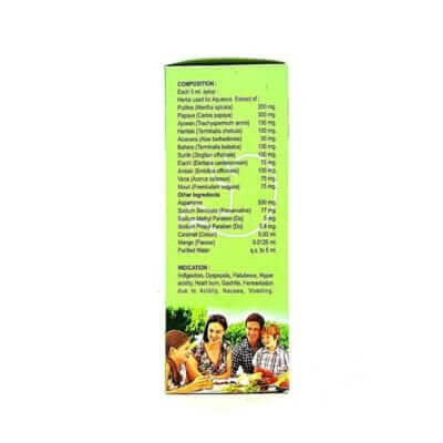 Ayurvedic Pudina Active Syrup 200ml(pack of 3) - HEALTH AIM PHARMACY