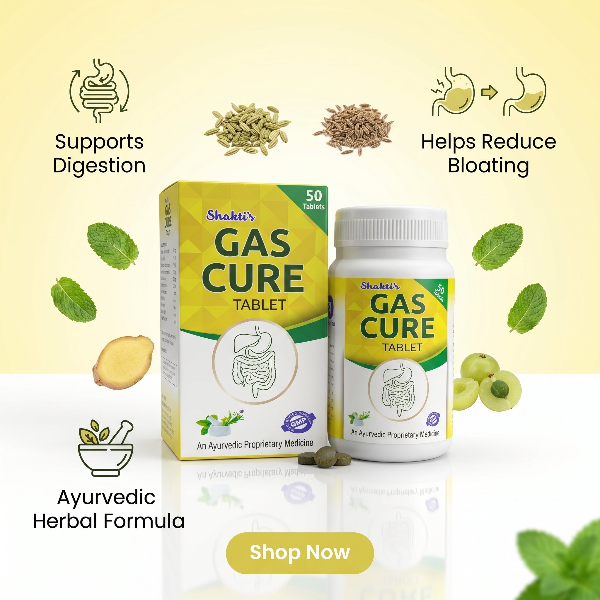Ayurvedic Shakti's Gas Cure Tablet for acidity | 50Tabs | Pack of 3 - HEALTH AIM PHARMACY