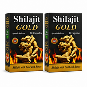 Ayurvedic Shilajit Gold 20 Capsule (Pack of 2) - HEALTH AIM PHARMACY