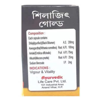 Ayurvedic Shilajit Gold 20 Capsule(pack of 2) - HEALTH AIM PHARMACY